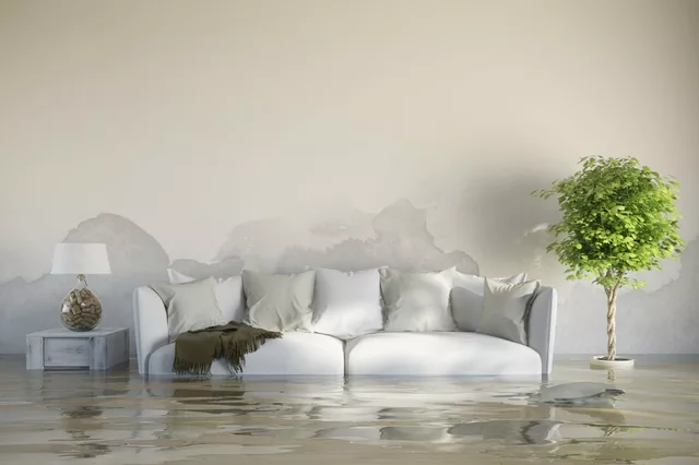 How is water damage restoration made?